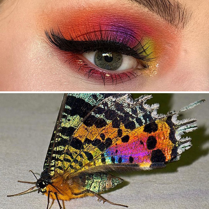 Bug-Inspired-Eye-Makeup-Duran-Jay-Entomakeup