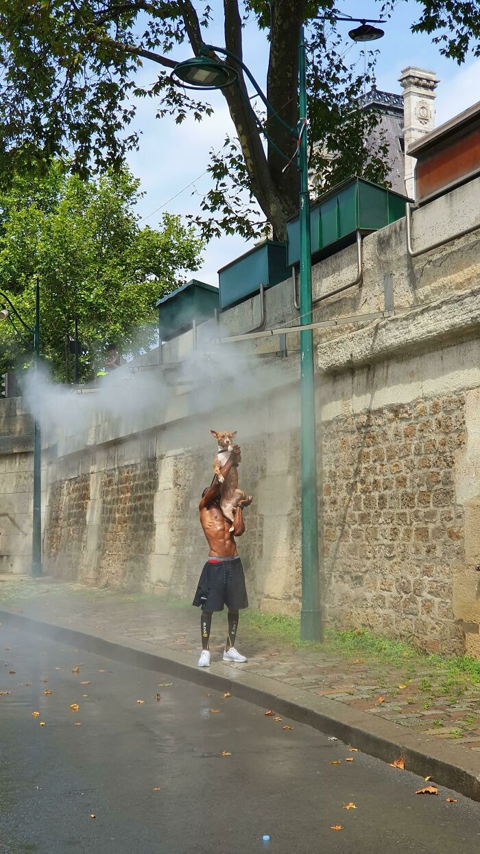 Vi a este tipo en París ayudando a su cachorro a refrescarse en la ola de calor de 40°C