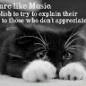 dorothymcconnell avatar