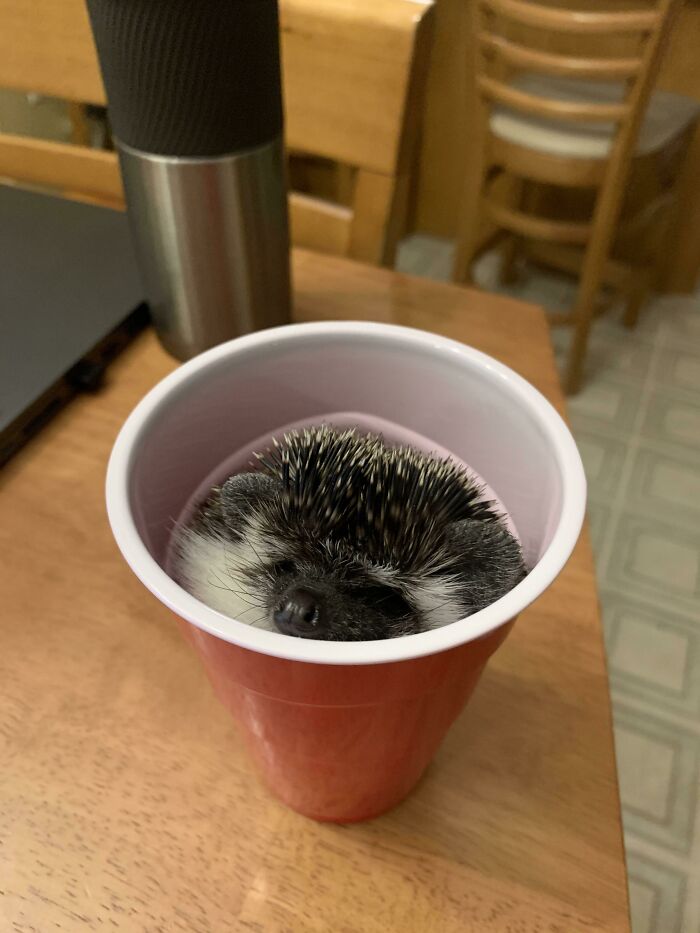 Someone Spiked My Drink Again