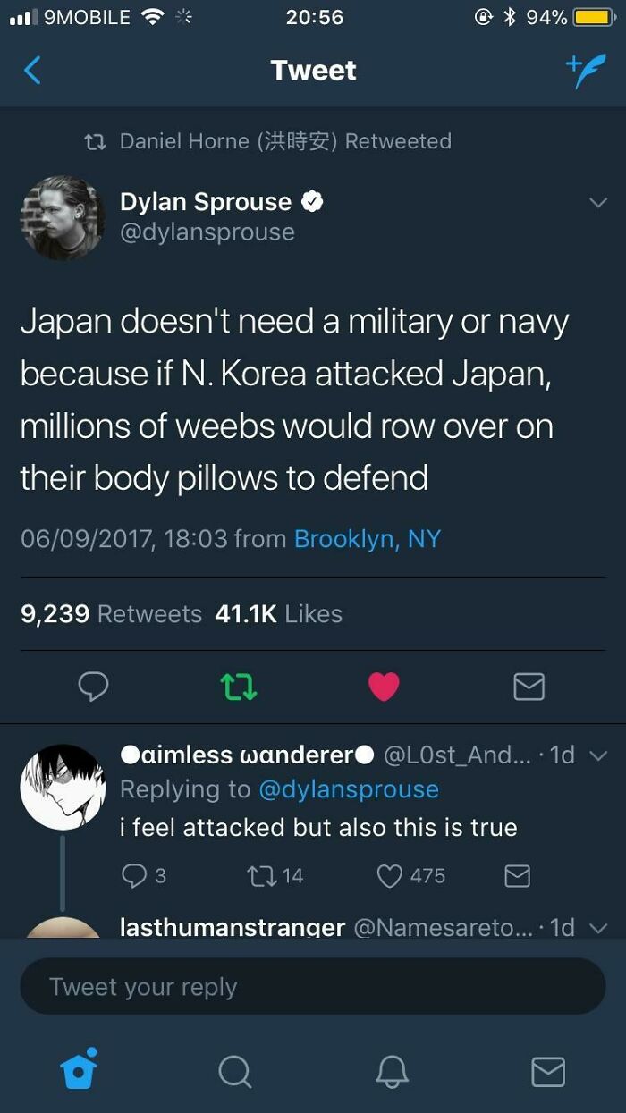 The Real Japanese Navy