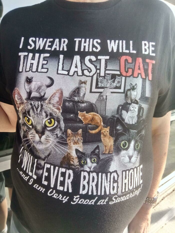 Me encontré con mi hermano y llevaba esta camiseta. Solo tiene un gato