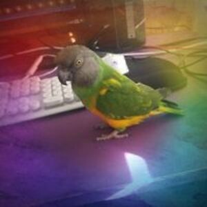 purplewarriorlife avatar