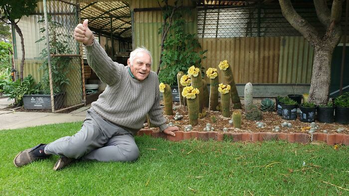 My Grandfather Is So Proud Of His Cacti (I'm Pretty Proud Of Him)