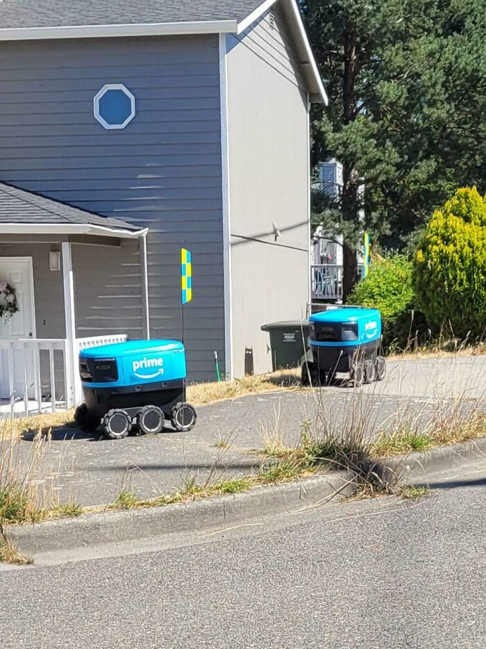 Little Delivery Robots In The Wild