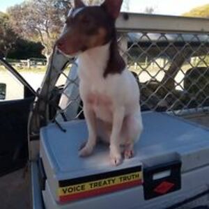 veryprivatemack avatar