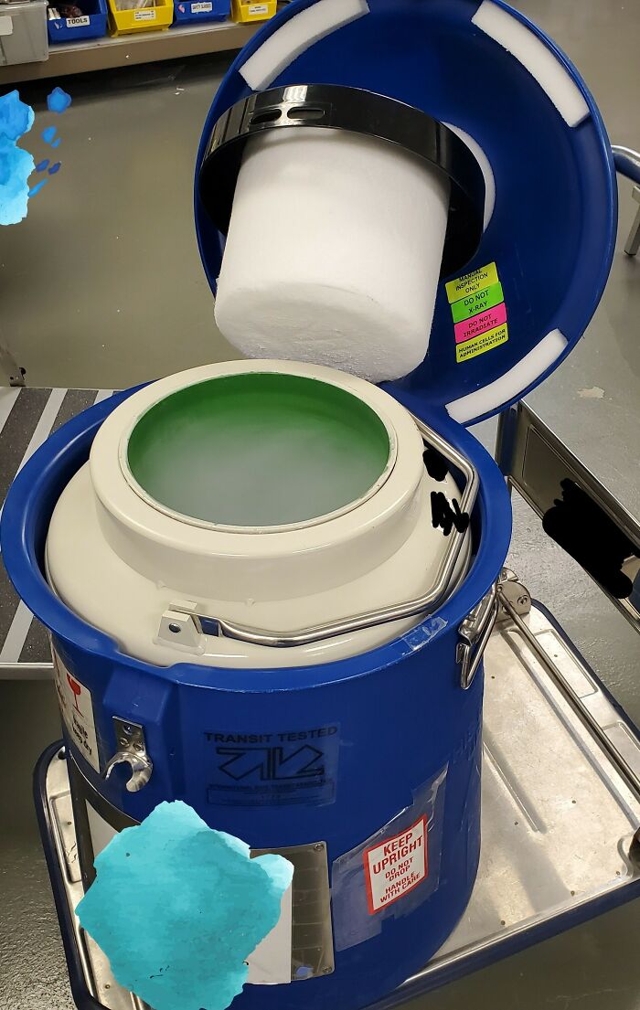 Trabajo en un laboratorio de células madre. Este es un cargador de nitrógeno líquido seco, utilizado para transportar productos criopreservados como células madre y vacunas en -150°C