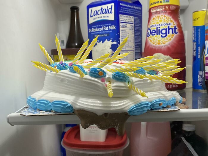 For My 30th Birthday I Figured Out Ice Cream Cakes Melt In The Fridge