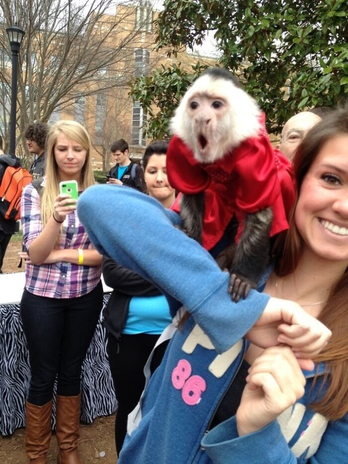 So Yesterday They Brought A Monkey To Our Campus