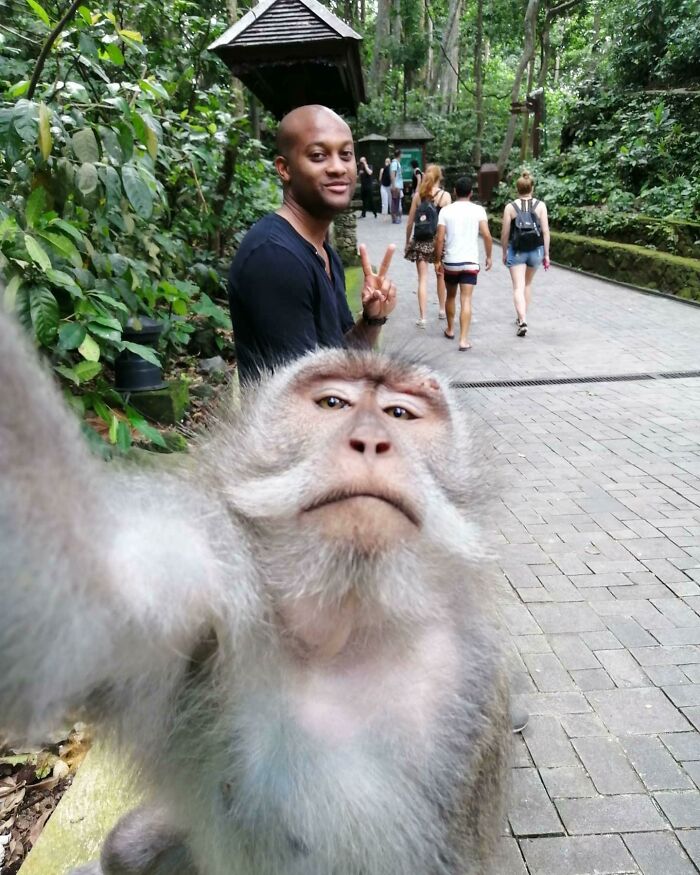 Selfie Of A Monkey And A Man