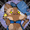 kalliopedelvecchio avatar