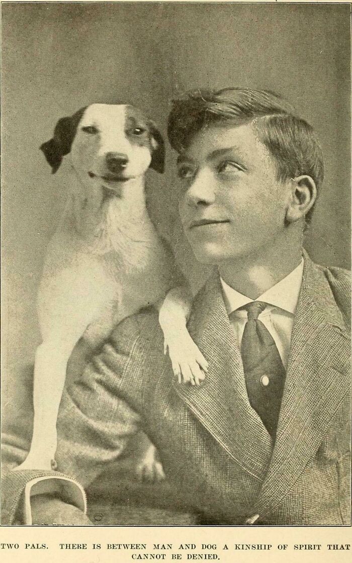 Two Pals (1920)