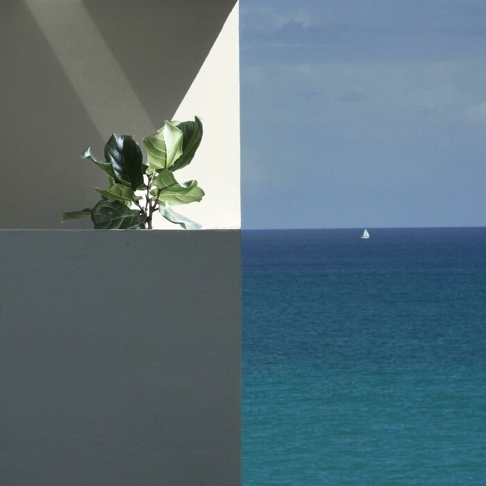 El balcón de nuestros vecinos, y su ficus llamado Ben, alineado perfectamente con el horizonte