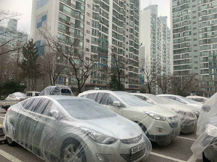 Un complejo de apartamentos en Corea está siendo pintado, así que los pintores cubrieron todos los coches del aparcamiento para protegerlos de las salpicaduras