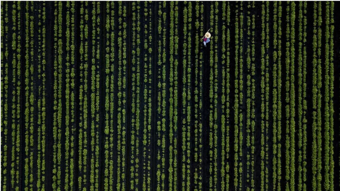 A Glitch On The Matrix Code