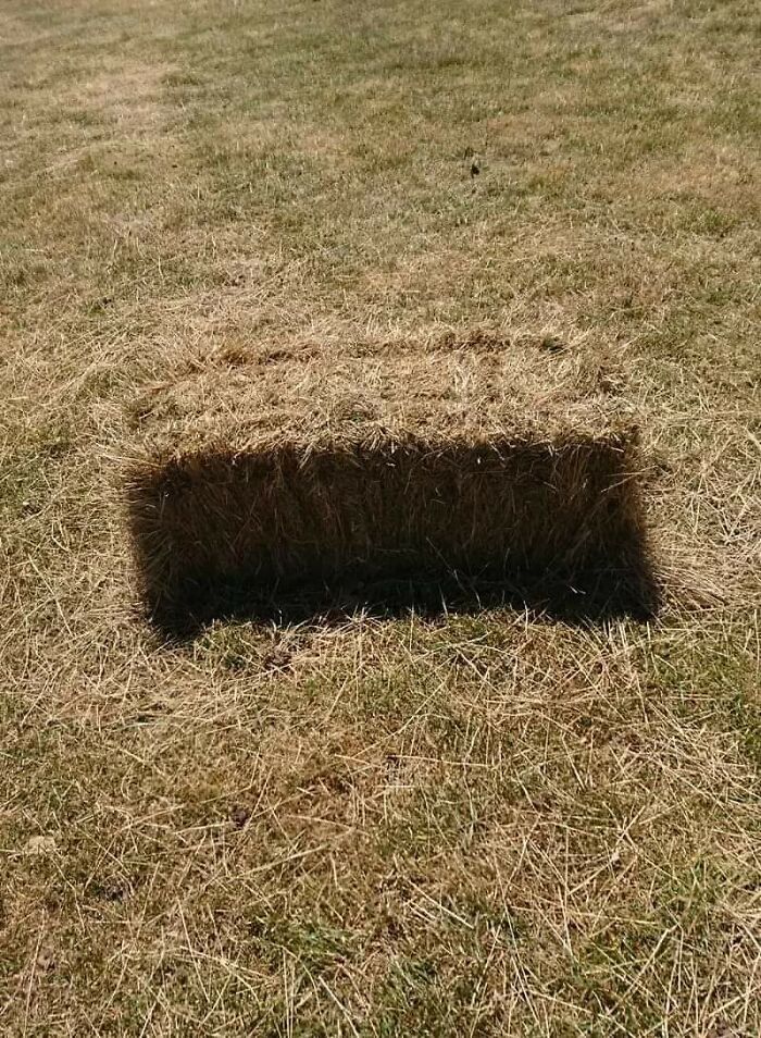 Hole Or Hay?