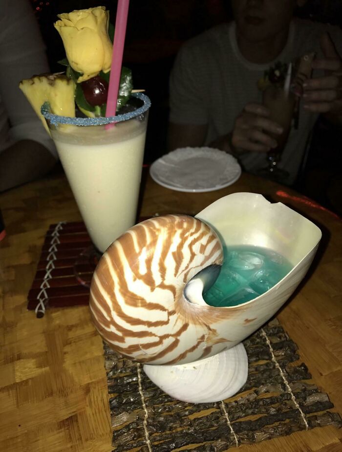 A Nice Chipped Shell To Cut Your Lips With The Cocktail