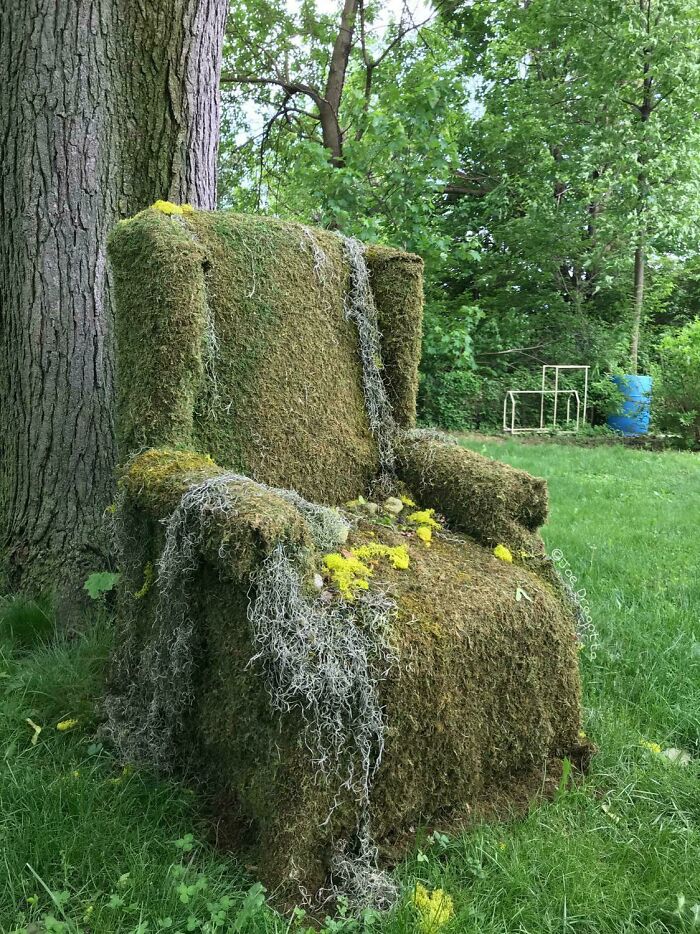 Mis vecinos tienen una vieja silla con plantas que crecen sobre ella