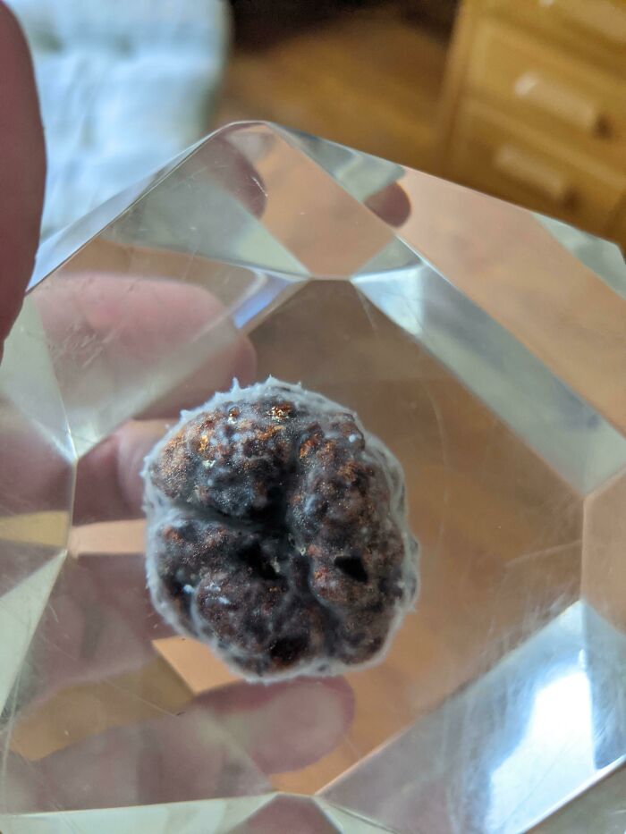 30 Years Ago, My Grandfather Encased This Meatball In Epoxy