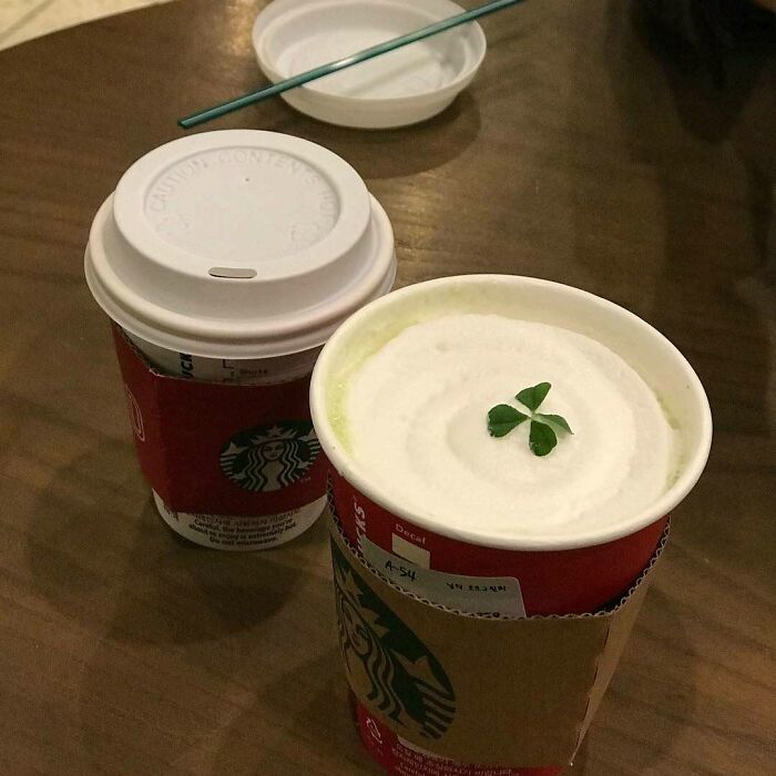 Korea Has A Drink With A Real Four Leaf Clover In It Called The Oat Green Tea Latte
