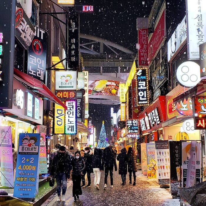 Snowy New Year In Daejeon
