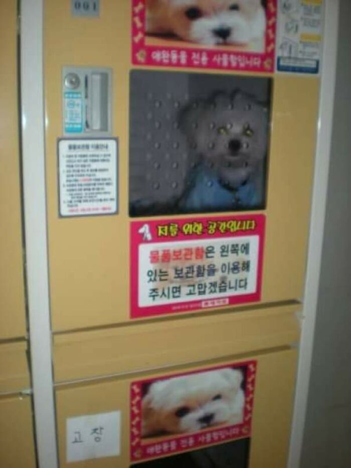 Boxes To Leave Pets At Supermarket Entrance In South Korea