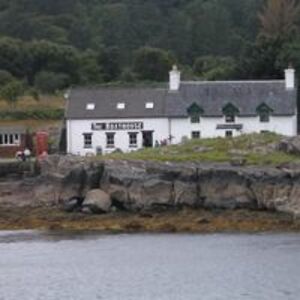 alisdaircensus avatar