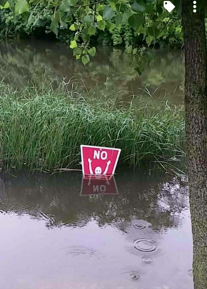Thanks To All The Rain, The Water Level Fits This "No Swimming" Sign Perfectly