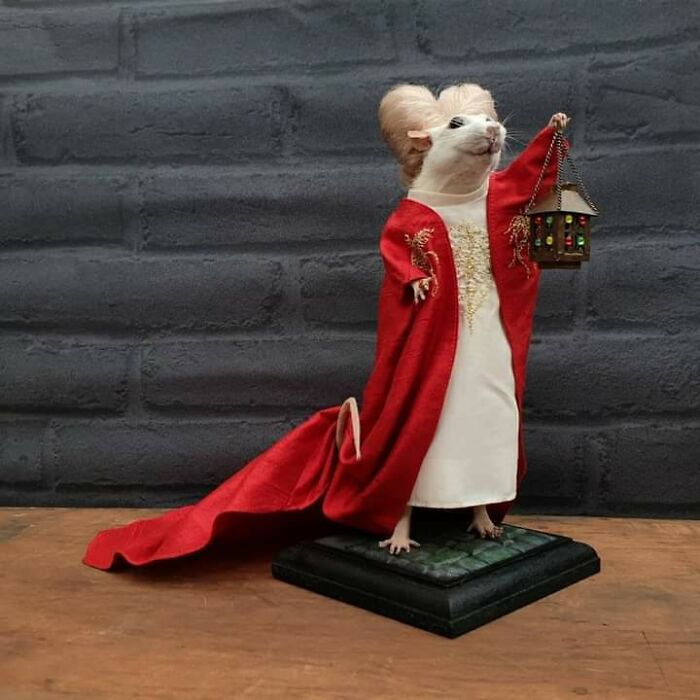 Esta rata taxidermizada como el Drácula de Gary Oldman