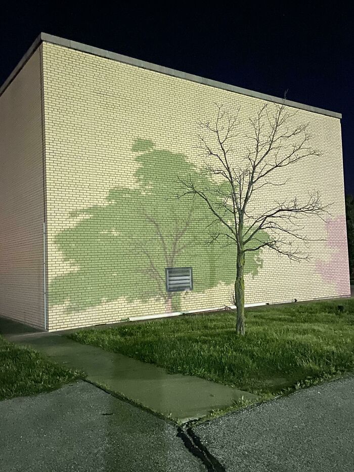 Esta sombra de dos árboles diferentes en mi aparcamiento