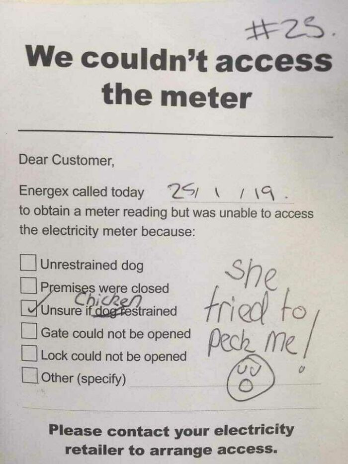 Energex Couldn't Check My Meter Due To My Chicken
