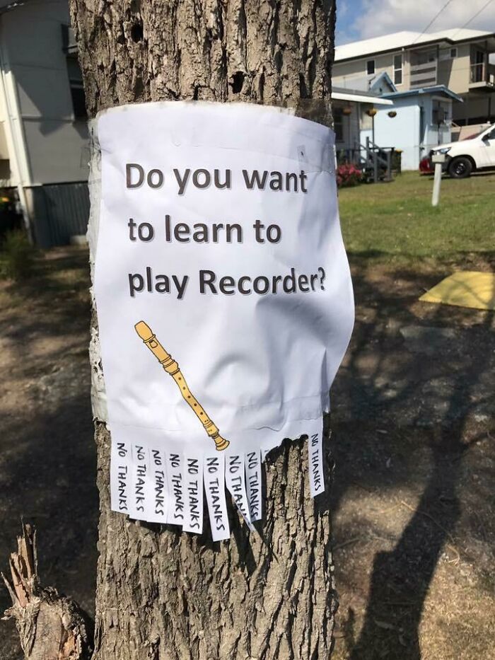 ¿Quieres aprender a tocar la flauta dulce? No, gracias