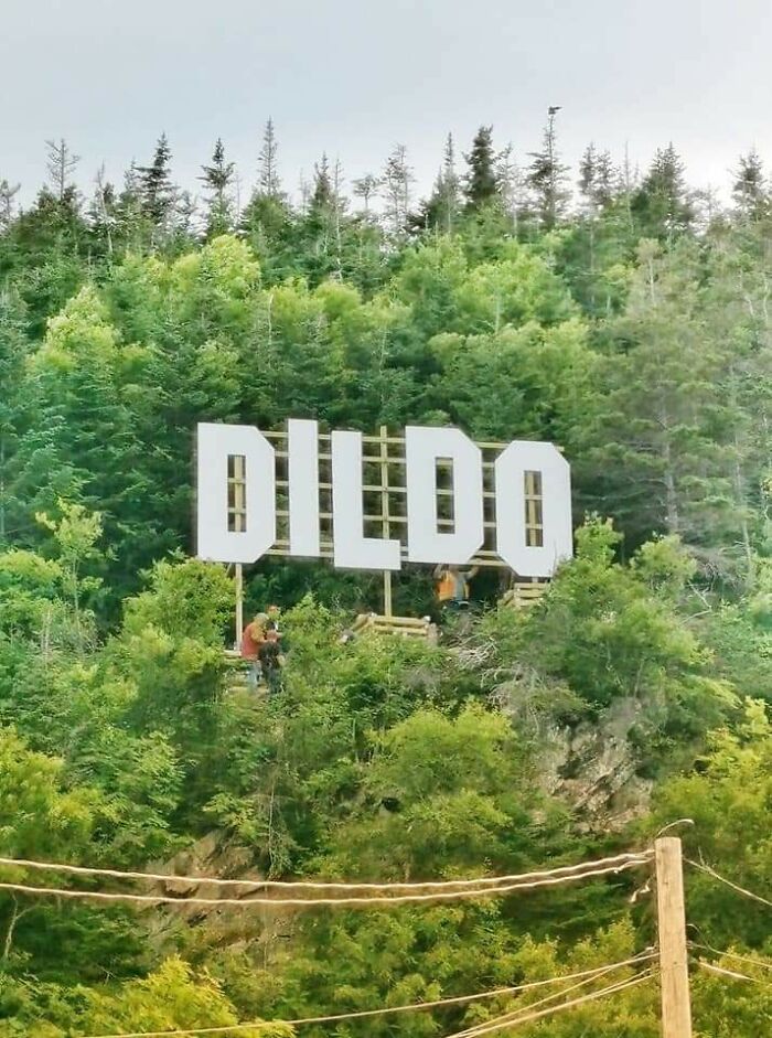 The Town Of Dildo, Newfoundland, Canada Just Erected A New Sign