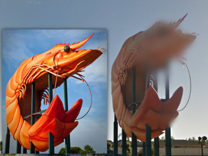 Google Street View Has Blurred The Face Of Ballina's Big Prawn. Privacy First!