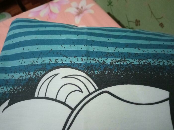 The Design Of This Pillowcase Makes It Look Like There Are Bugs Crawling On It