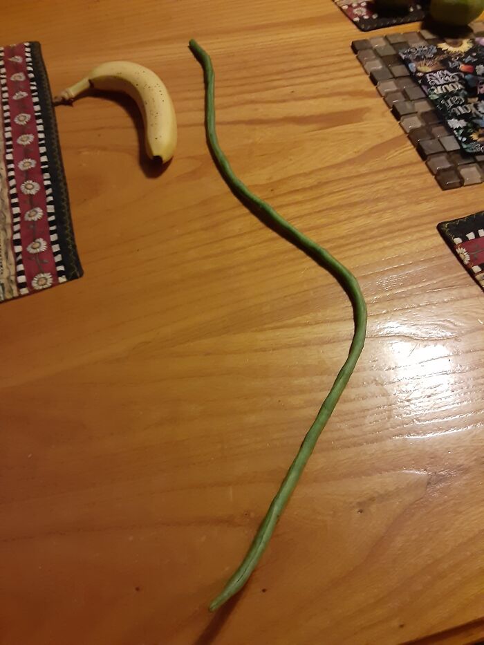 Green Bean Dad Grew, Banana For Scale.