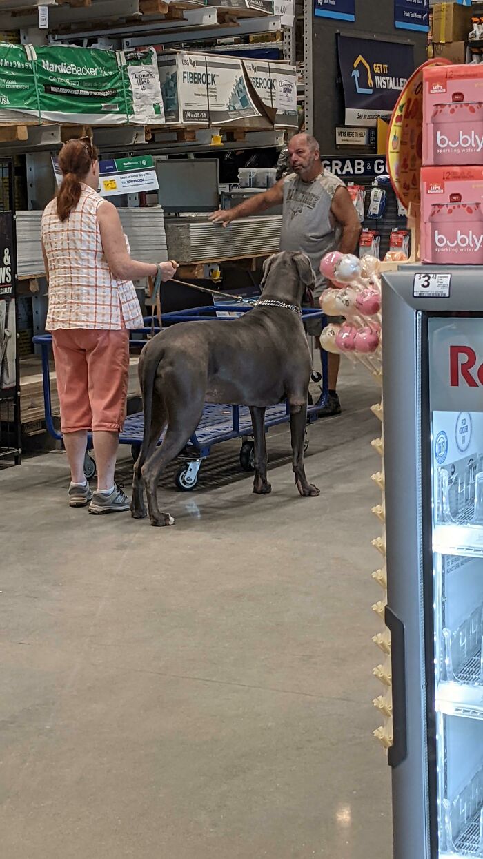 This Is Max. A Unit I Met In Lowes