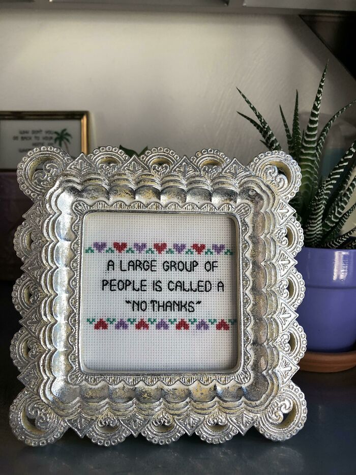 I Have Stitched No Truer Words 
