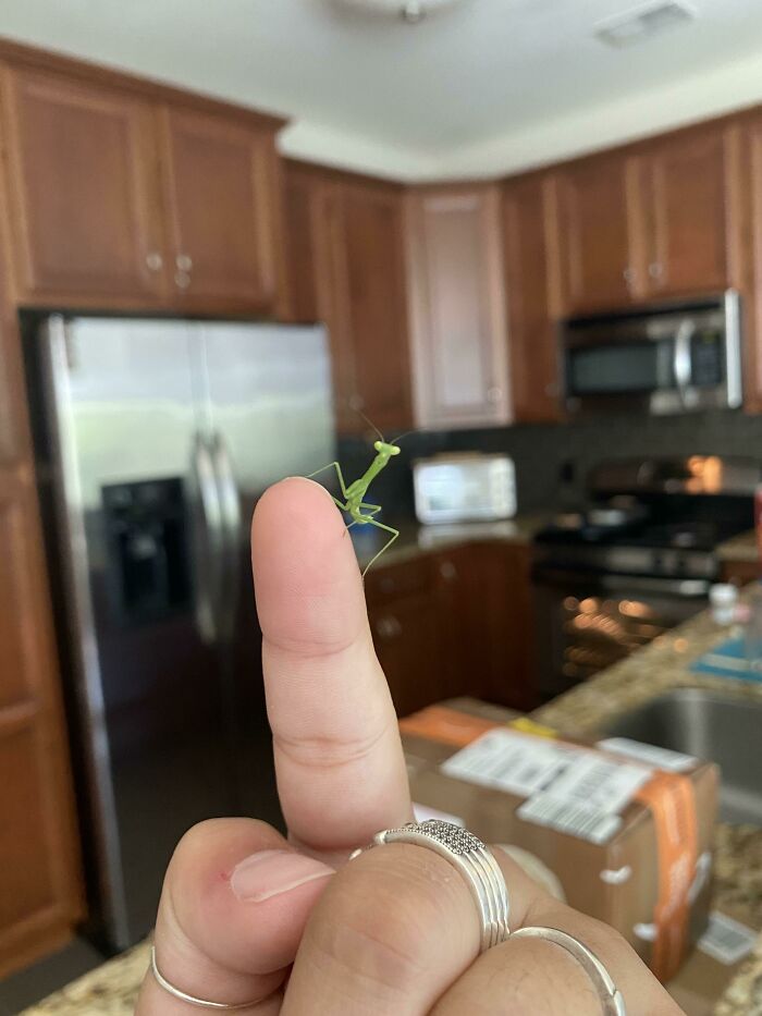 Little Guy Wanted To Say Hello