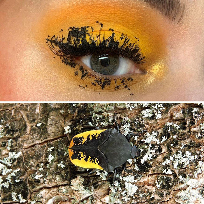 Artist Shows The Beauty Of Insects With Her 30 Matching Eye Makeup Looks