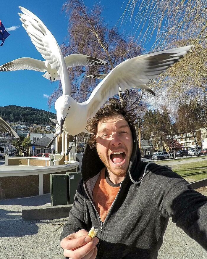 Super Seagull Sunday Selfie! The Seagulls Get A Little Bit Jealous When You Try Feed The Ducks