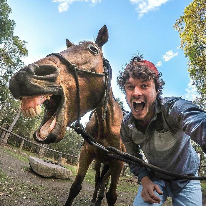 Just Horsing Around. Spread Happiness By Telling Funny Jokes