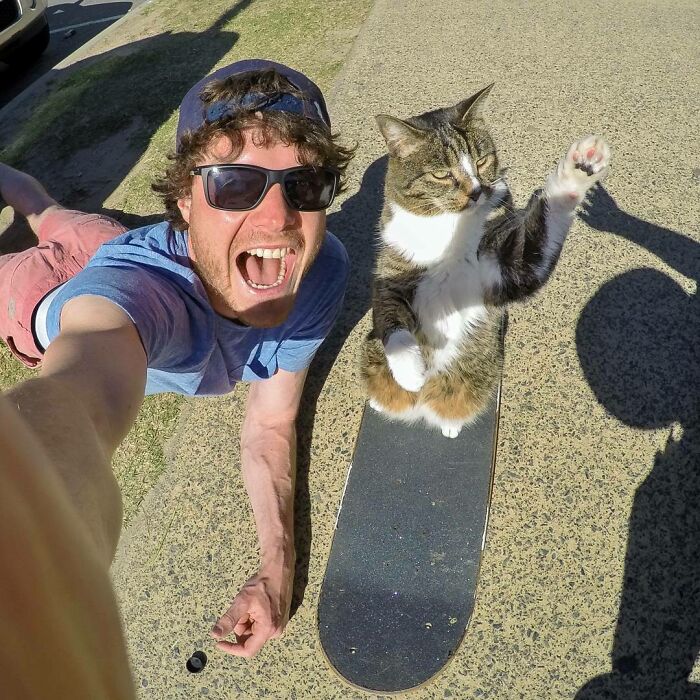 High 5'ing Cats That Can Skateboard. My Mind Is Blown! Tell Kitty Cat Didga (Catmantoo) That She Rocks!