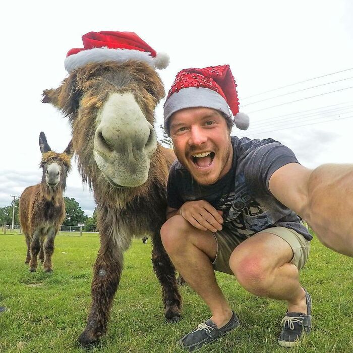 Start This Year Working Towards Whatever You Want To Be. These Donkeys Will Be Reindeers Pulling Santa's Slay In No Time. Aim For Awesome! 