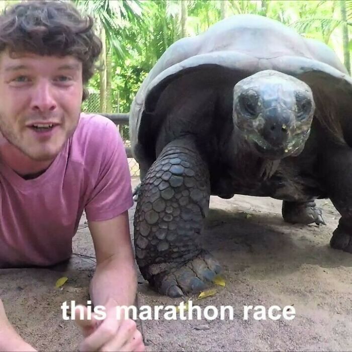 3.. 2.. 1.. Go, I Raced A Tortoise. Who Do You Think Won? Let's Just Say I Need More Training. Slow And Steady Wins The Race