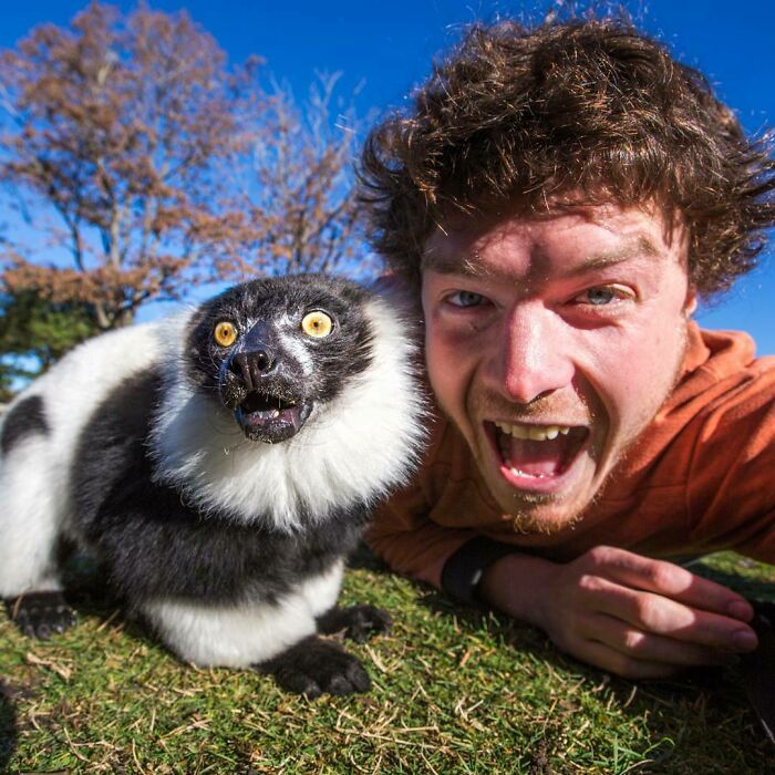 I Told The Lemur That He Only Got 10 Likes On His Last Photo. Lets Cheer Him Up This Time