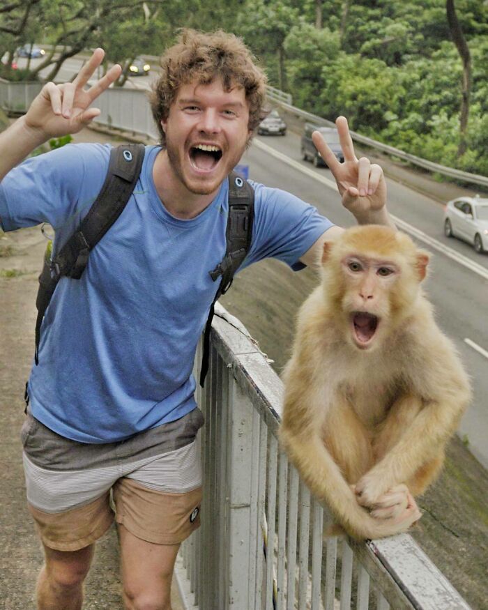 Spot The Monkey In The Blue T-Shirt. There's A Place In Hong Kong Called Monkey Hill And It Has Everything You've Ever Wanted And More