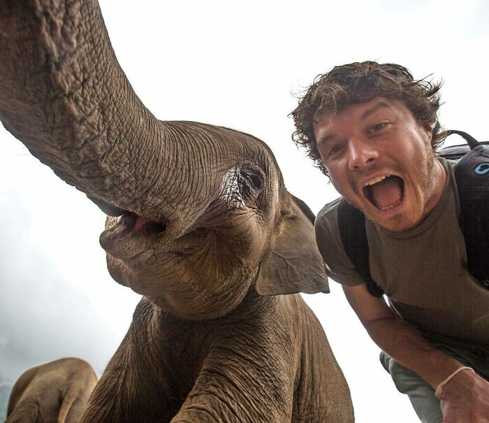 It's Elephant Selfie Time!