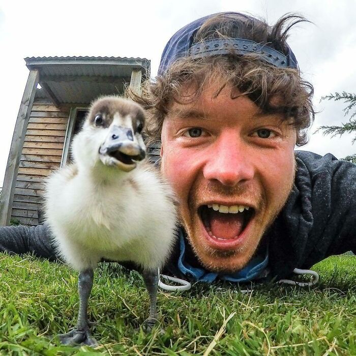 Duck Faces Are So Last Year, Now It's All About The Open Mouth 'Excitement' Duckling Face. Thank You So Much Glenorchypeaks, You've Got The Dream Life With All Your Animal Vibes