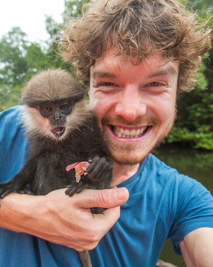 When A Monkey Has A Better Hairstyle Than You, You Know It's Time